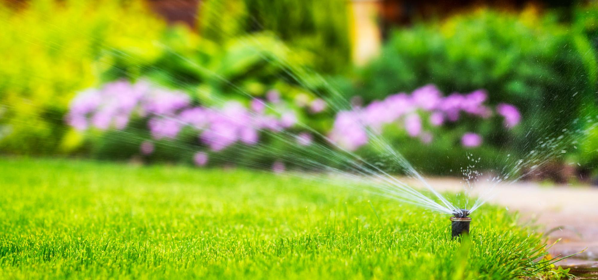 Schout Service zorgt, met tijd- en energiebesparende (mobiele) beregeningsinstallaties voor jouw tuin of gezon, die hun doeltreffendheid hebben bewezen.\n